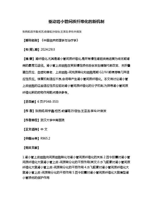 驱动肾小管间质纤维化的新机制