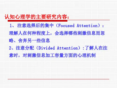 3.注意(认知心理学)