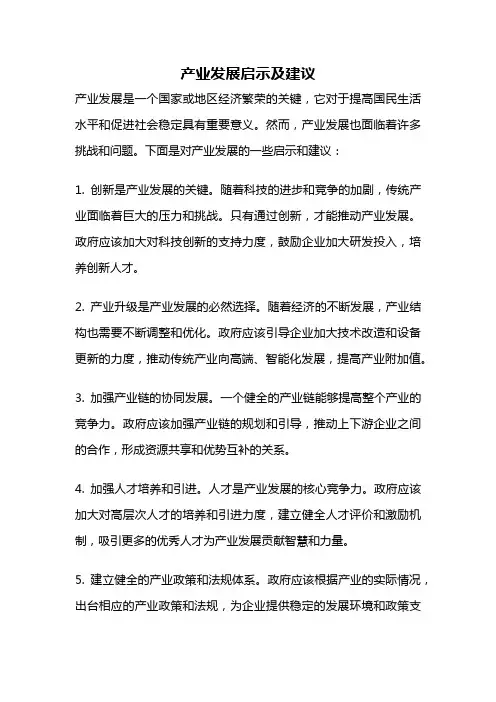 产业发展启示及建议
