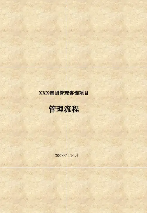 流程管理-毕博XXXX集团管理咨询项目管理流程 精品