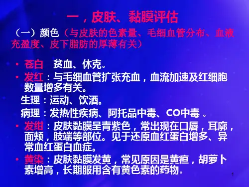 健康评估第五章第三-四节 PPT课件