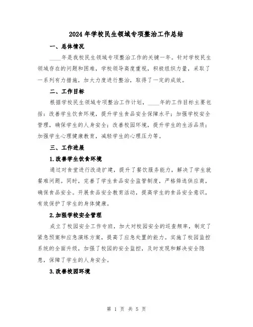 2024年学校民生领域专项整治工作总结（2篇）