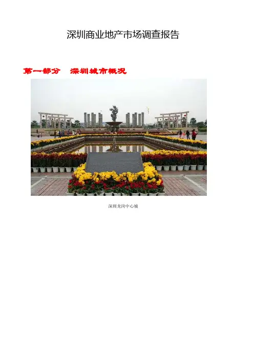 深圳商圈调查报告