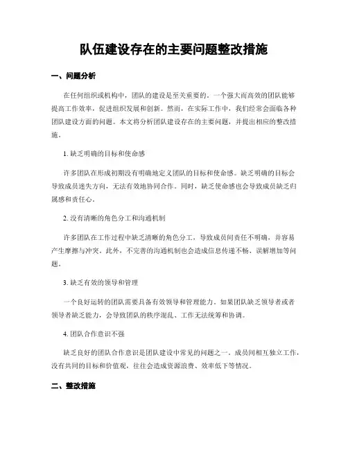 队伍建设存在的主要问题整改措施 (3)