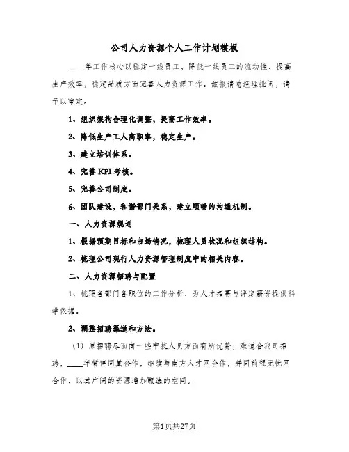 公司人力资源个人工作计划模板（3篇）