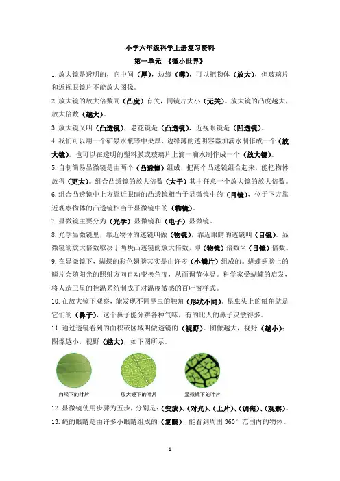 2023年新教科版科学六年级上册复习资料