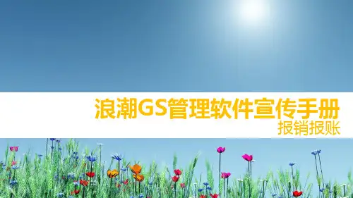 浪潮GS管理软件宣传手册-报销报账