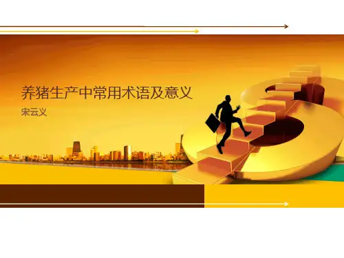 养猪常用术语及意义