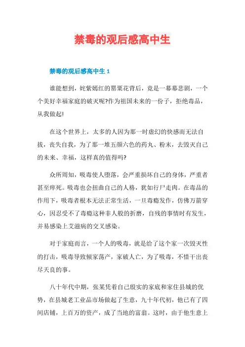 禁毒的观后感高中生