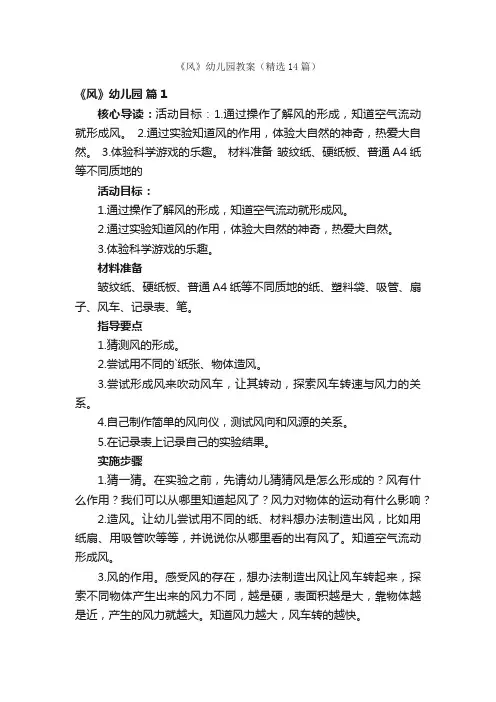 《风》幼儿园教案（精选14篇）