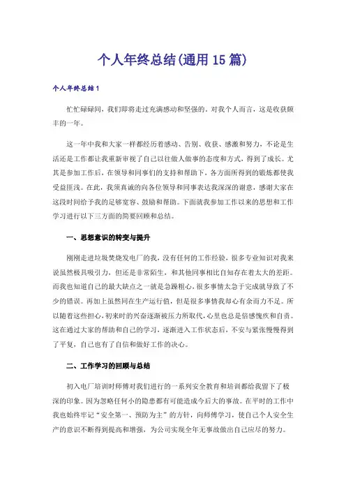 个人年终总结(通用15篇)