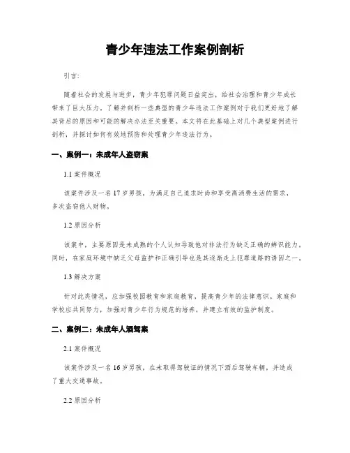 青少年违法工作案例剖析