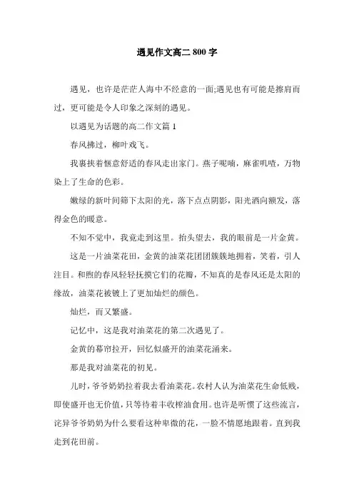 遇见作文高二800字