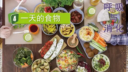 《一天的食物》PPT课件 教科版科学