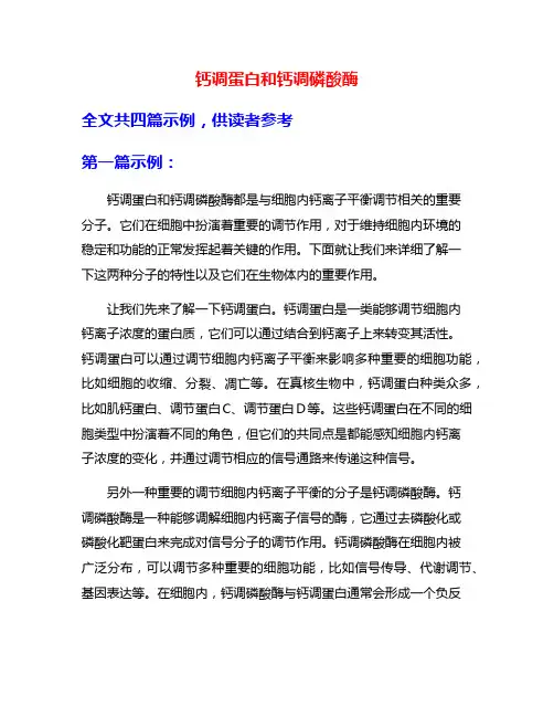 钙调蛋白和钙调磷酸酶