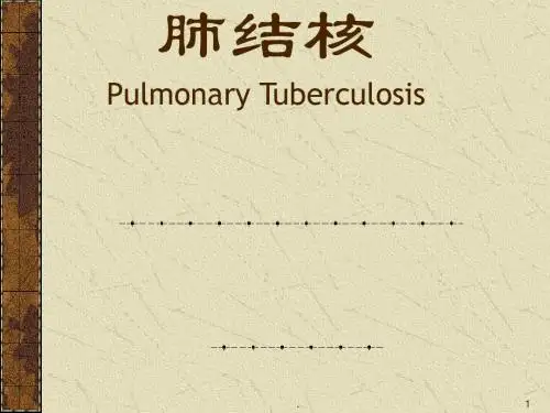 内科学肺结核PPT课件