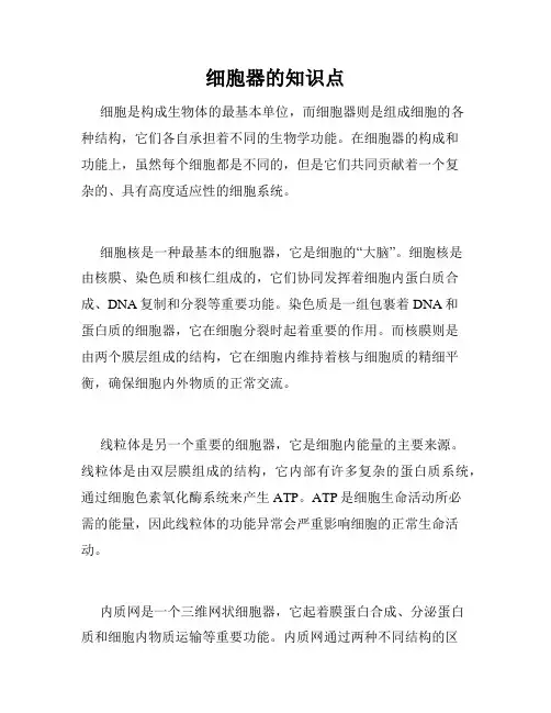 细胞器的知识点