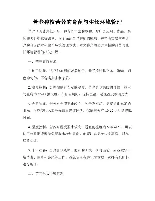 苦荞种植苦荞的育苗与生长环境管理