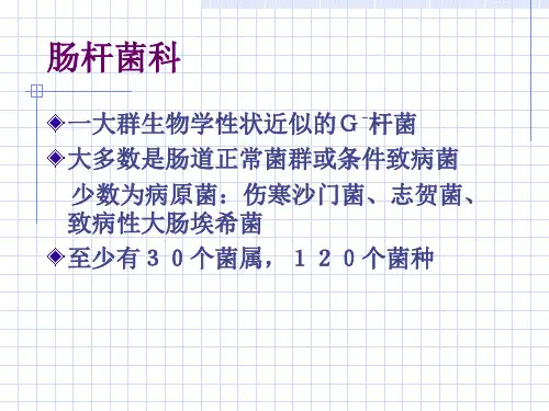 肠道杆菌PPT课件