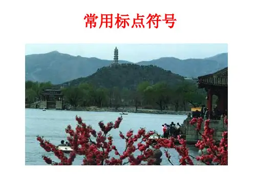 六年级下册小升初复习常用标点符号用法部编版PPT