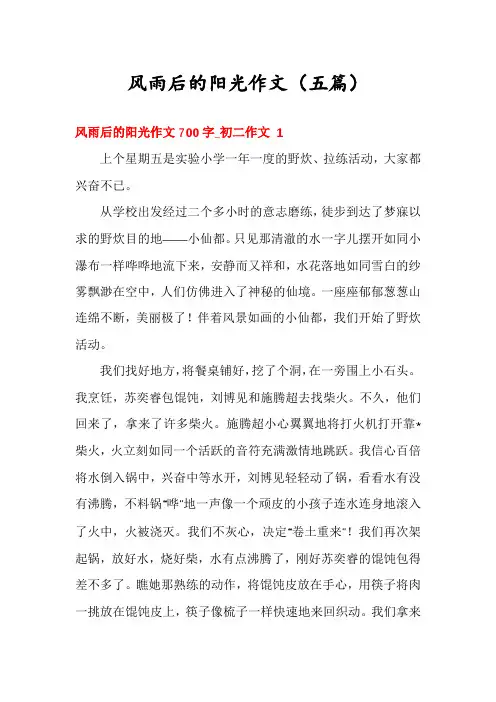 风雨后的阳光作文(五篇)
