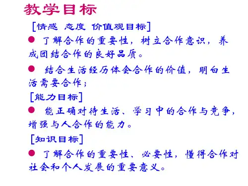 九年级政治合作竞争求发展(PPT)5-4