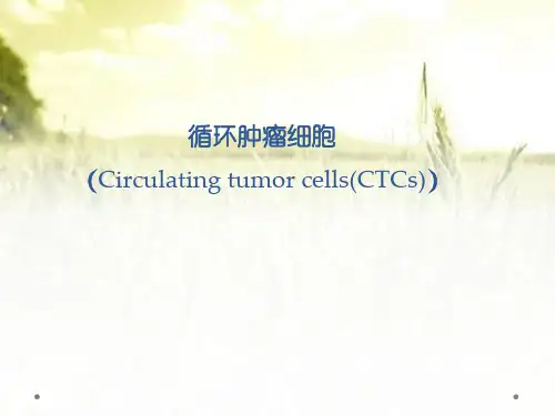循环肿瘤细胞 PPT