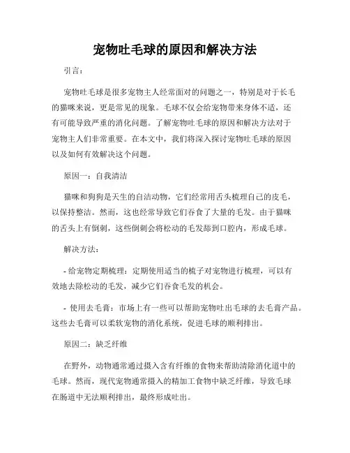 宠物吐毛球的原因和解决方法