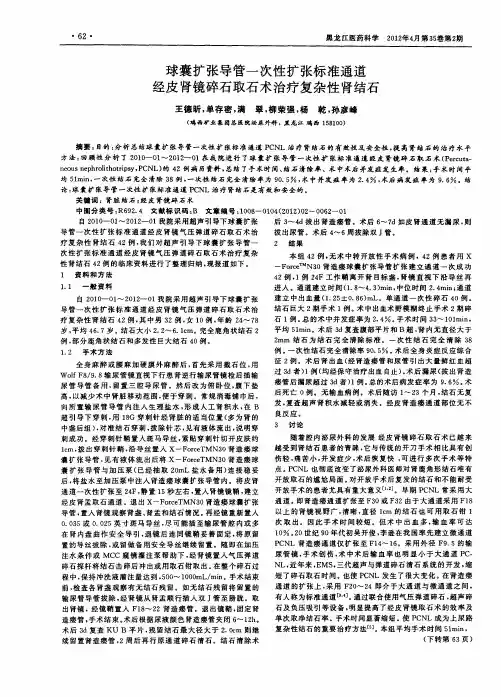 球囊扩张导管一次性扩张标准通道经皮肾镜碎石取石术治疗复杂性肾结石