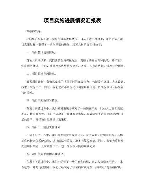 项目实施进展情况汇报表