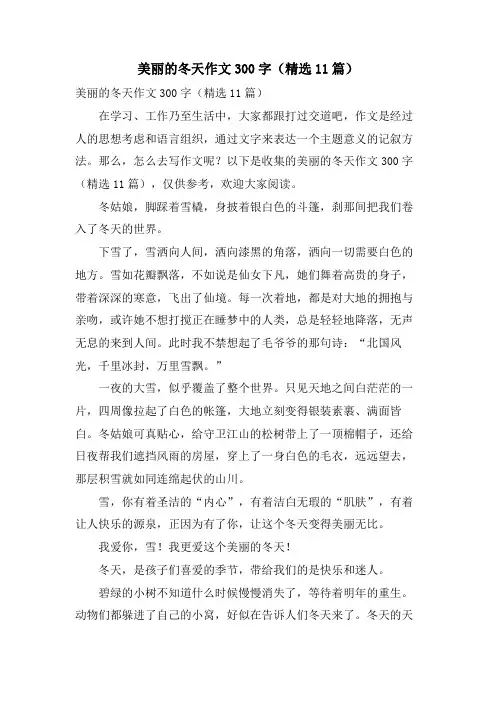 美丽的冬天作文300字(11篇)