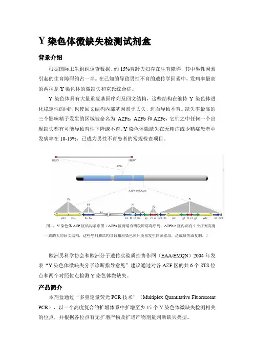 Y染色体微缺失检测