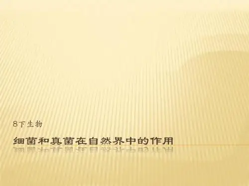 细菌和真菌在自然界的作用