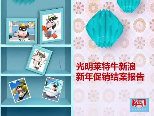 2020年光明网络营销策划结案报告模板可编辑模板可编辑