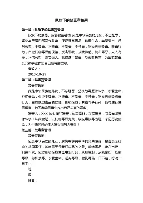 队旗下的禁毒宣誓词