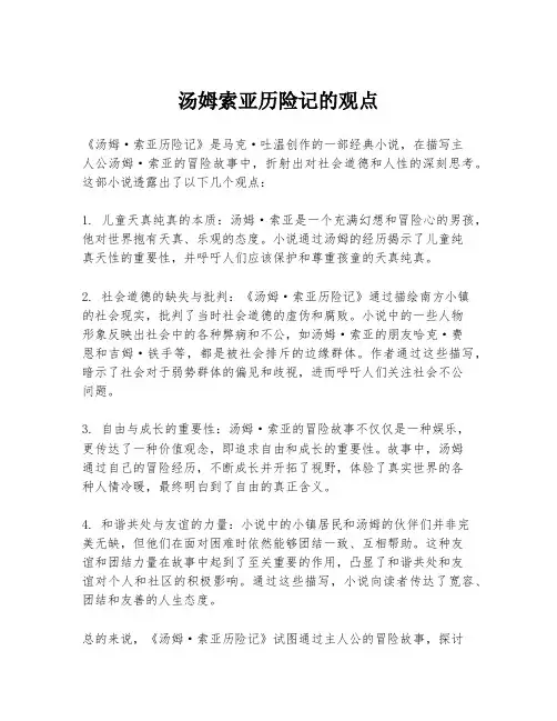 汤姆索亚历险记的观点