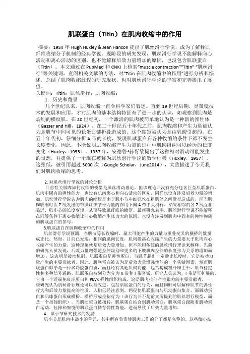 肌联蛋白(Titin)在肌肉收缩中的作用