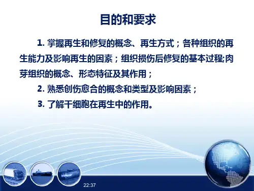 5.82损伤的修复病理学生理学课件