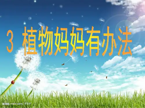 人教部编版二年级上册语文课件《3植物妈妈有办法》(共26张PPT)