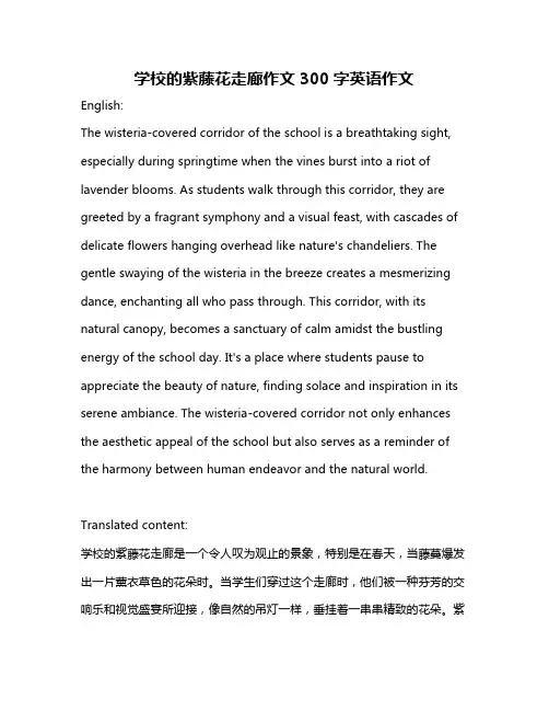 学校的紫藤花走廊作文300字英语作文