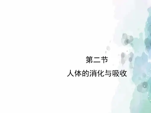 苏教版-生物-七年级下册-《人体的消化与吸收》授课课件