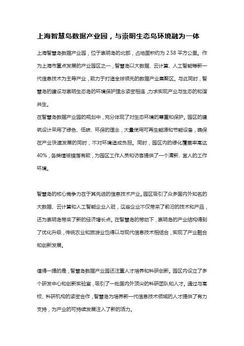 上海智慧岛：打造全球领先的数据产业集聚区
