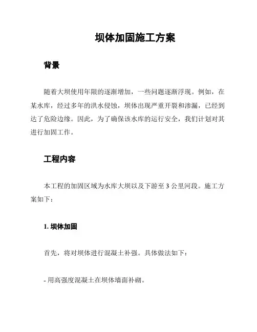坝体加固施工方案