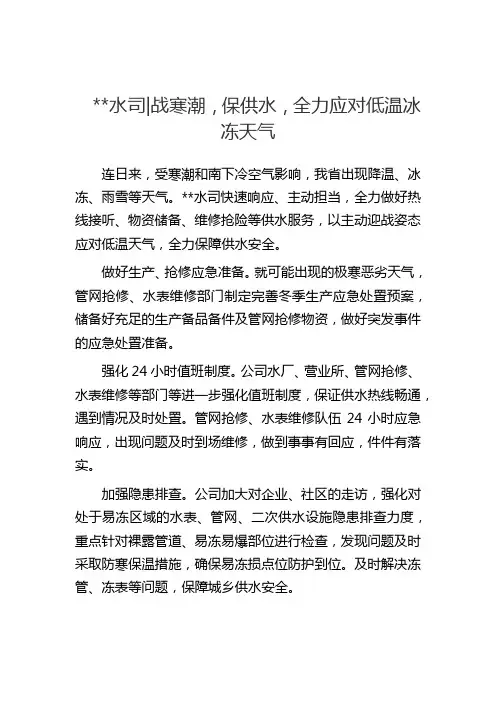 -水司：战寒潮,保供水,全力应对低温冰冻天气(2)
