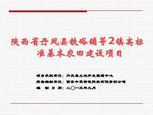 某镇高标准基本农田建设项目概述PPT(共 53张)