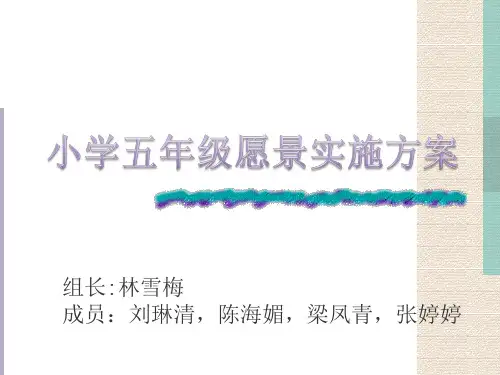 小学五年级愿景实施方案
