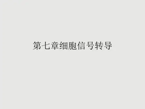 第七章细胞信号转导