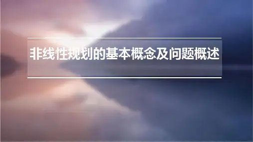 非线性规划的基本概念及问题概述