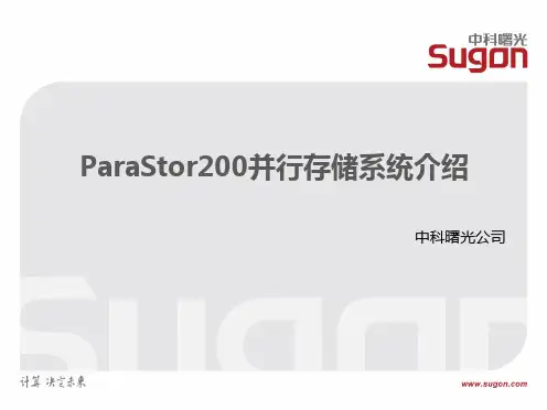 923820-服务器-ParaStor200介绍