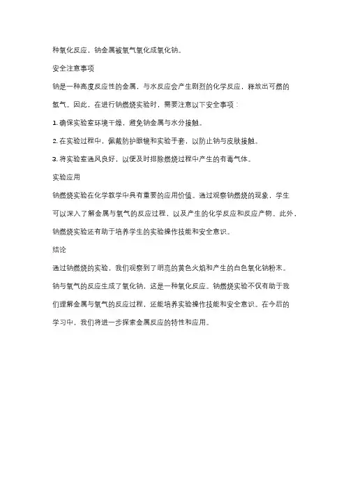 钠燃烧的实验报告